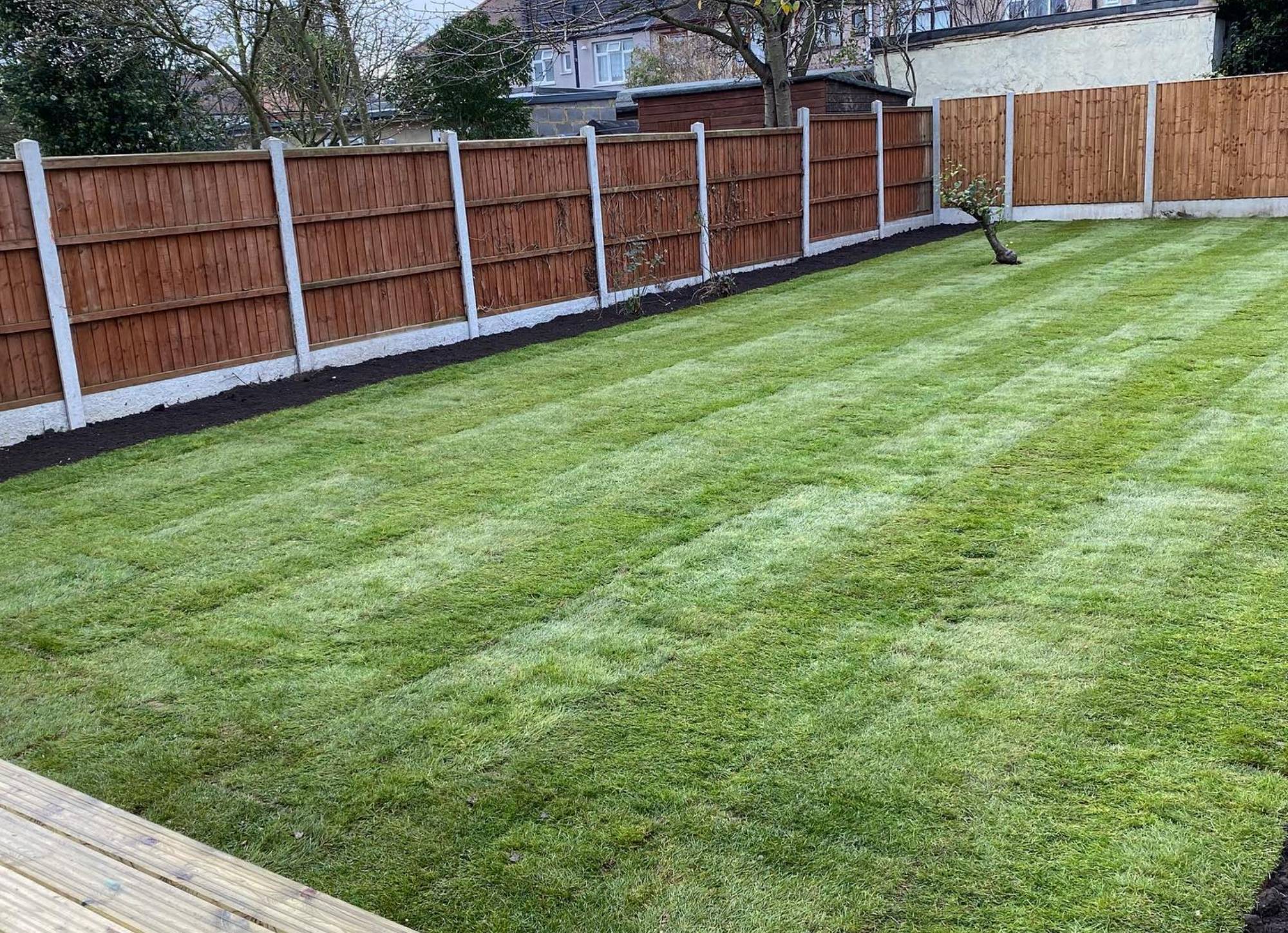 Large area of freshly laid real turf creating a stunning new lawn in Chingford